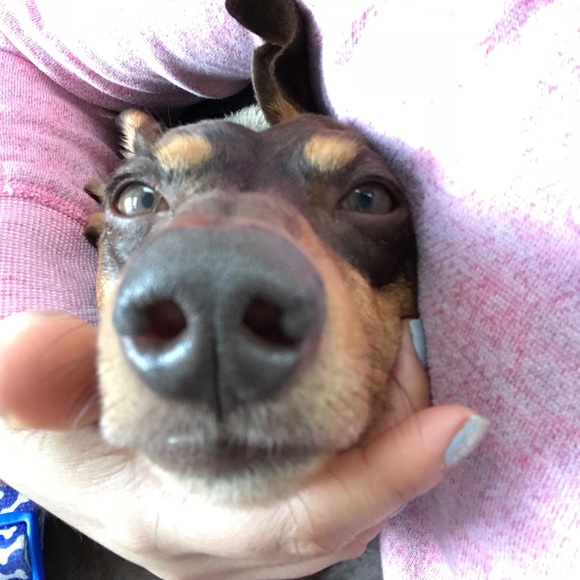 Meet your Posher, Estelle - Picture 6 of 13